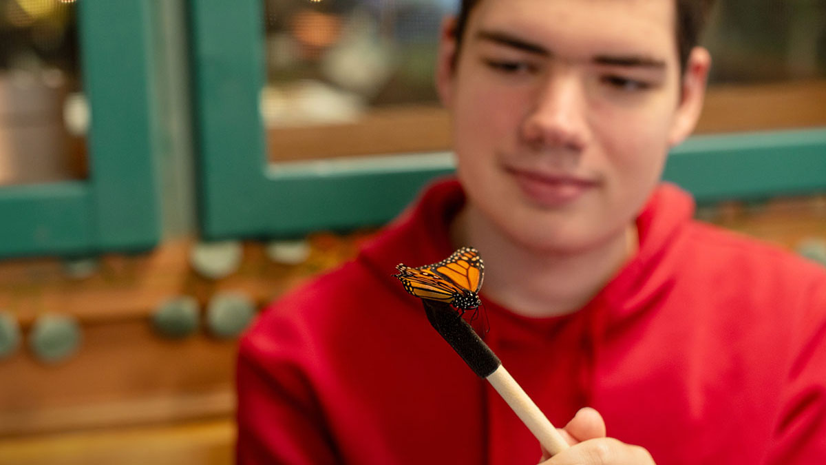 Boy with autism holding a pencil with a butterfly on it.