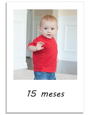 15 months old