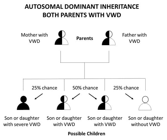 Autosomal Dominant Inheritance Both Parents with VMD