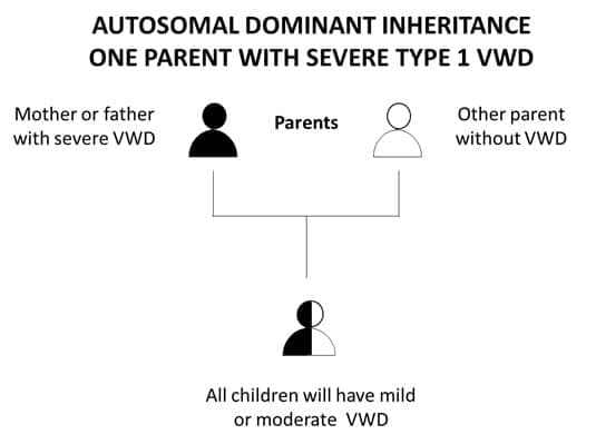 Autosomal Dominant Inheritance One Parent with Severe Type 1 VMD