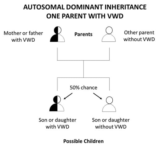 Autosomal Dominant Inheritance One Parent with VMD