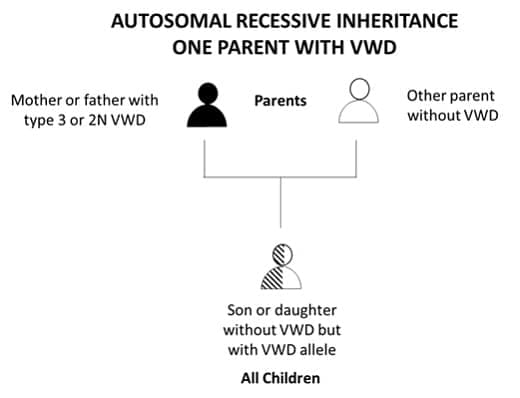 Autosomal Recessive Inheritance One Parent with VMD
