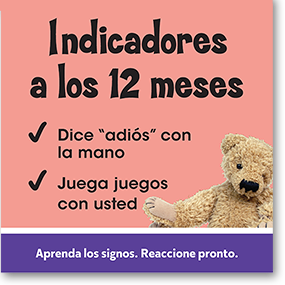 indicadores a los 12 meses spanish