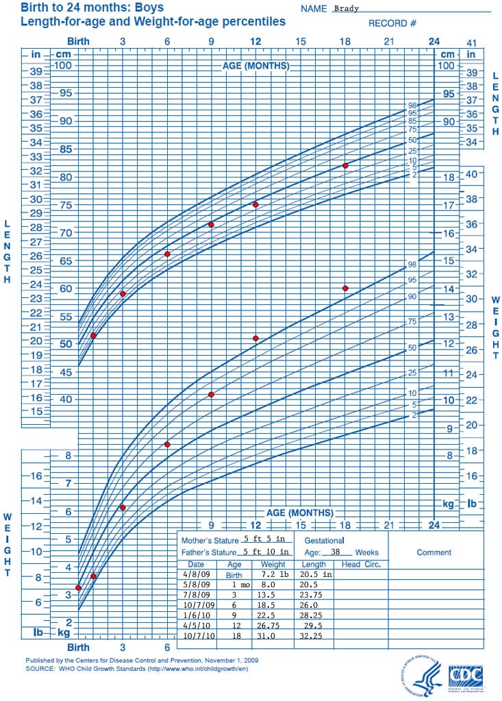 Growth chart. Birth to 24 months: boys. Length-for-age and Weight-for-age percentiles. Name: Brady. Data points for the growth chart show the following: Date – Age – Weight – Length. 5/8/2009 – 1 month  – 8.0 pounds  –  20.5 inches. 7/8/2009– 3 months – 13.5 pounds - 23.75 inches. 10/7/2009– 6 months – 18.5 pounds - 26.0 inches. 1/6/2010 – 9 months – 22.5 pounds - 28.25 inches. 4/5/2010 - 12 months – 26.75 pounds - 29.5 inches. 10/7/2010 - 18 months – 31.0 pounds - 32.25 inches.