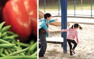 String beans with red bell pepper and a Caucasian boy and girl playing in a playground area