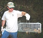 Image of man holding rats in a trap.