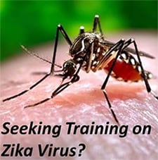 photo of the zika mosquito