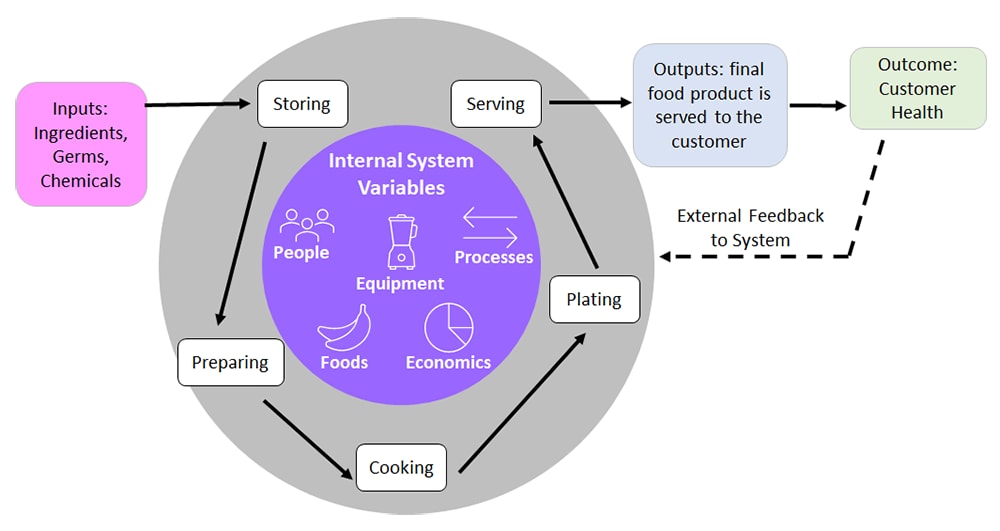 A restaurant system where inputs are ingredients, chemicals, germs; Processes are storing, preparing, cooking, plating, and serving. Internal variables are people, equipment, processes, foods, and economics. Output is final food product served. The Outcome includes customer health and satisfaction. And the outcome provides external feedback to the system.