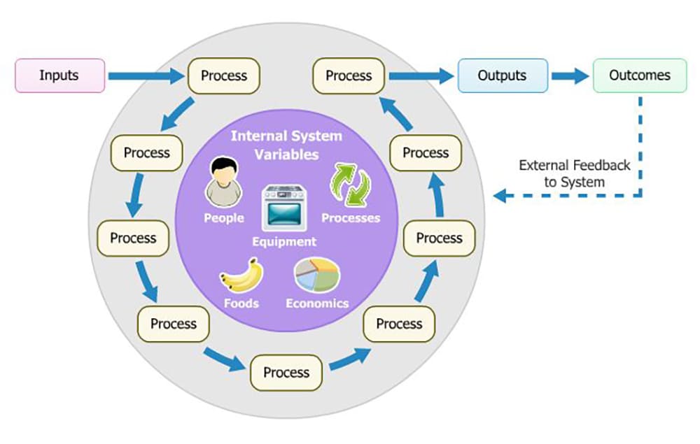 Inputs processed by people, equipment, foods, and economics. Outputs lead to outcomes and External Feedback to the system.