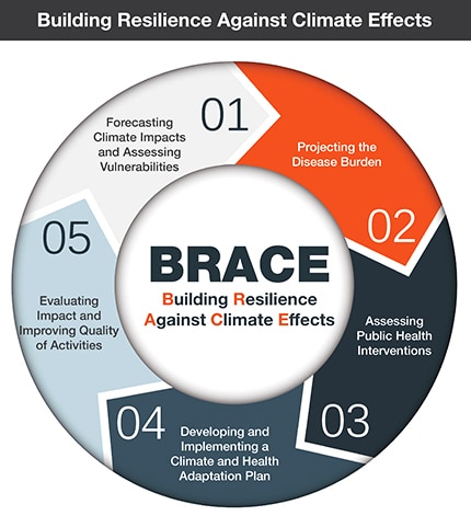 BRACE logo: Building Resilience Against Climate Effects