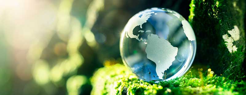 Glass globe in nature concept for environment and conservation