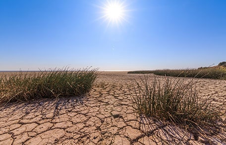 A hot bright sun beats down on parched, cracked soil.