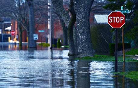 Submerged street signs on flooded street