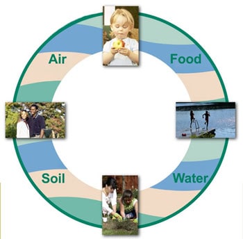 Clean air, clean food, clean soil, clean water.