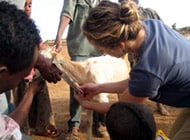 Buttke takes a sample from a goat herd. Photo by CDC staff
