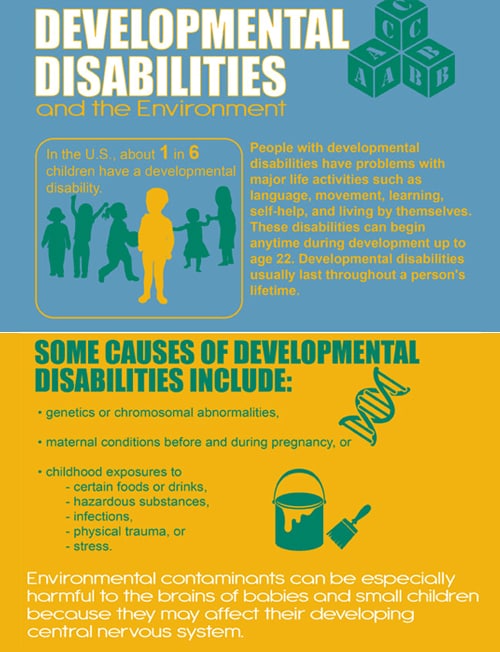 CDC’s Environmental Public Health Tracking Network: Developmental Disabilities and the Environment