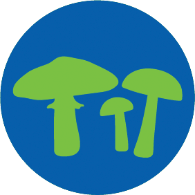 vector graphic of fungi