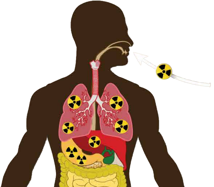 vector graphic showing radioactive materials entering a person through breathing