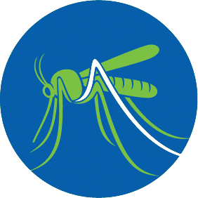 vector graphic of a mosquito