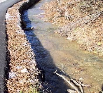 Figure 10.3. Clear Creek Water Contaminated With Sewage