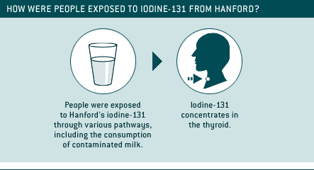 Illustration showing how people were exposed to iodidne-131 from Hanford.  People were exposed to Hanford's iodine-131 through various pathways including the consumption of contaminated milk.