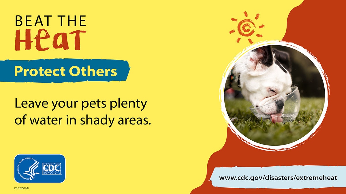 Beat The Heat. Protect Pets. Leave your pets plenty of water in shady areas. More info at www.cdc.gov/disasters/extremeheat/