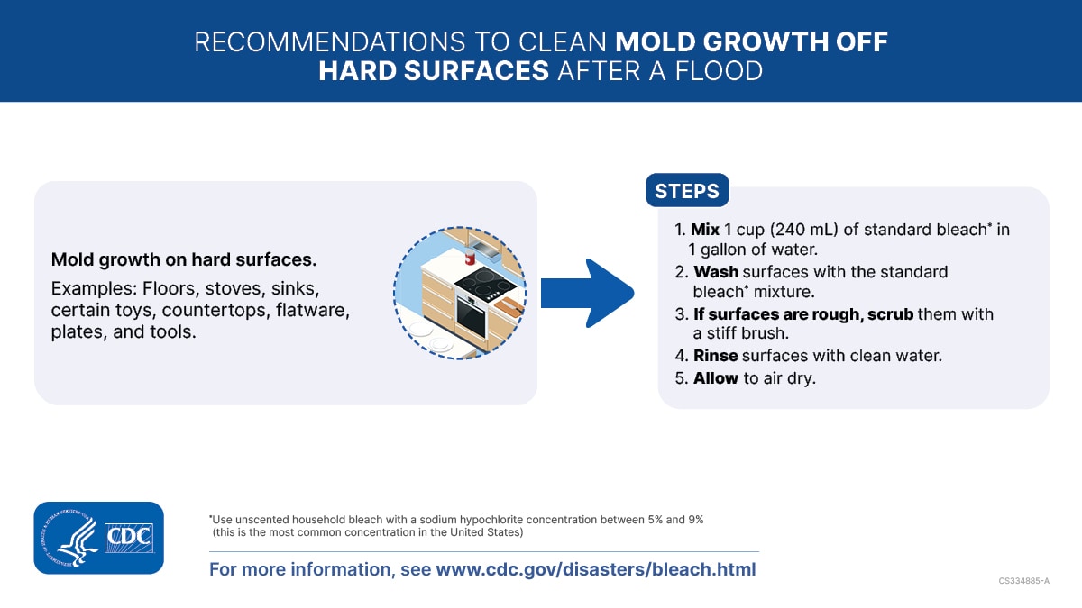 Recommendations to Clean Mold Growth off Hard Surfaces After a Flood