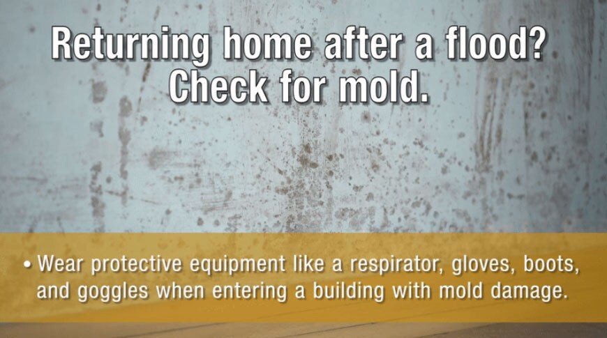 Returning home after a flood? Check for mold. Learn more at www.cdc.gov/disasters