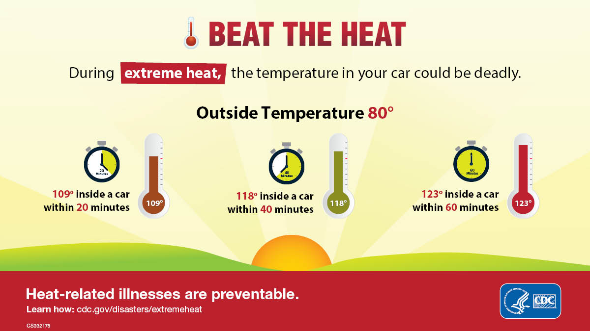 During extreme heat, the temperature in your car could be deadly.
