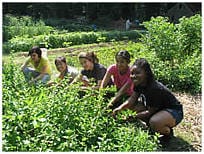 a group of interns at a community garden