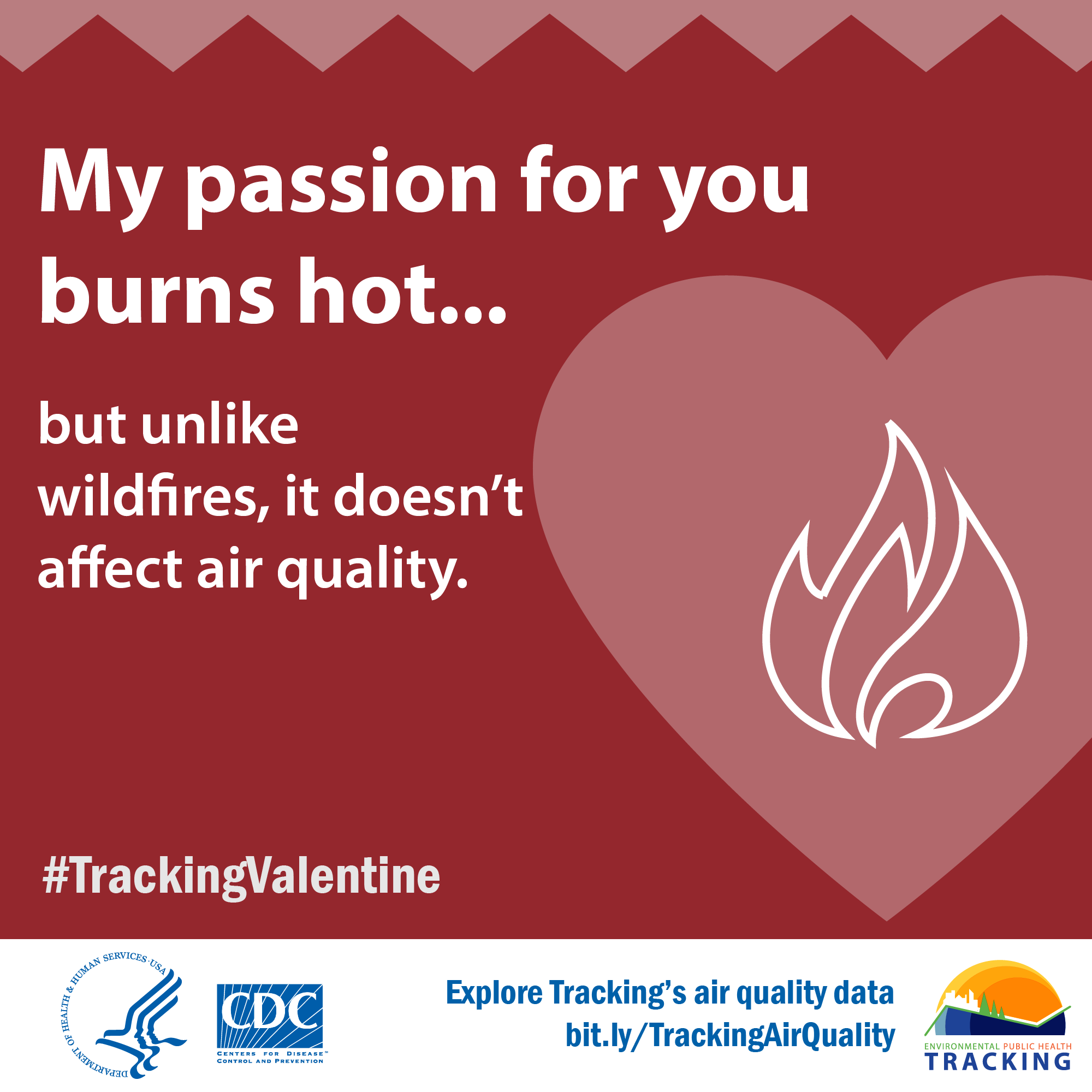 Fire icon inside red heart with text: "My passion for you burns hot...but unlike wildfires it doesn't affect air quality."