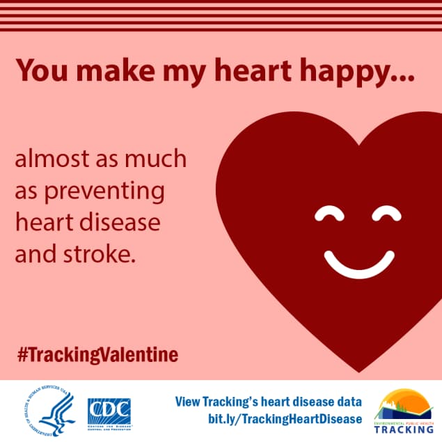 Red heart with smiley face icon and text: You make my heart happy…almost as much as preventing heart disease and stroke.