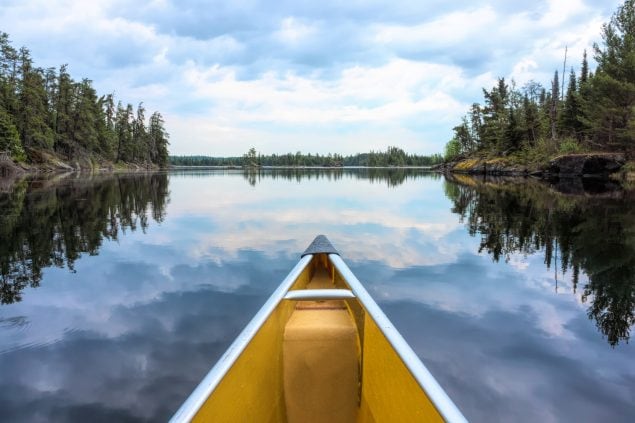 View  of horizon from canoe on reflective lake with evergreen trees on either side