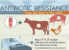 1 ub 5 resistant infrections are caused by germs from food and animals.