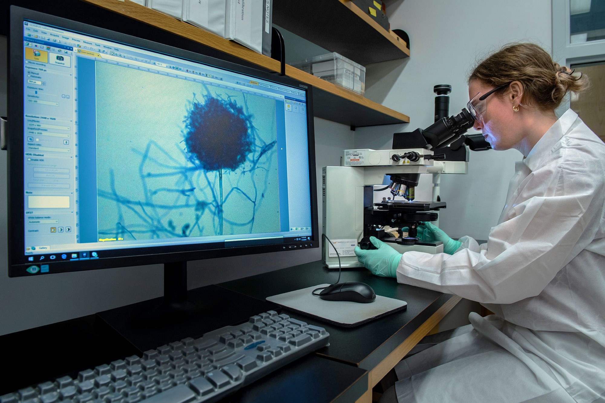 Image of a female laboratory staff doing research under a microscope