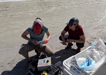 two people on the beach, taking water samples