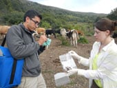 Neil Vora and Ginny Emerson collect blood samples to test for orthopox virus in cattle in the country of Georgia.