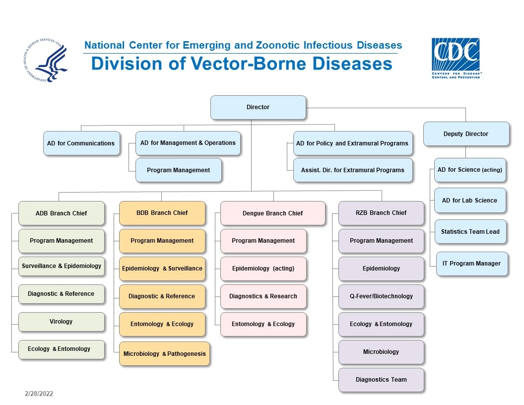Centers for Disease Control and Prevention, National Center for Emerging and Zoonotic Infectious Diseases, Division of Vector-Borne Diseases Organization Chart