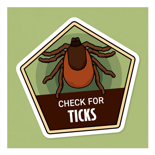 Graphic of a tick with the words Check for Ticks