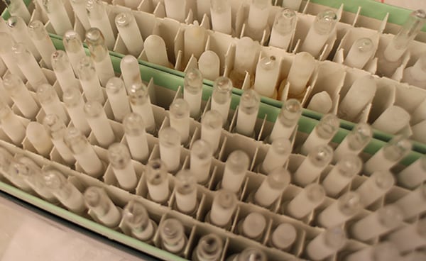 A tray full of vials