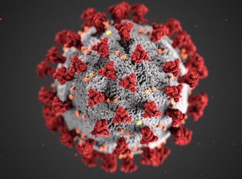 Image of coronavirus.