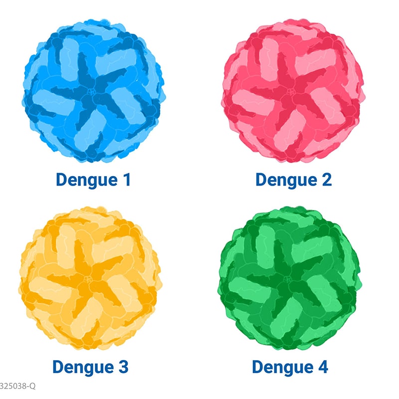 Different colored viruses