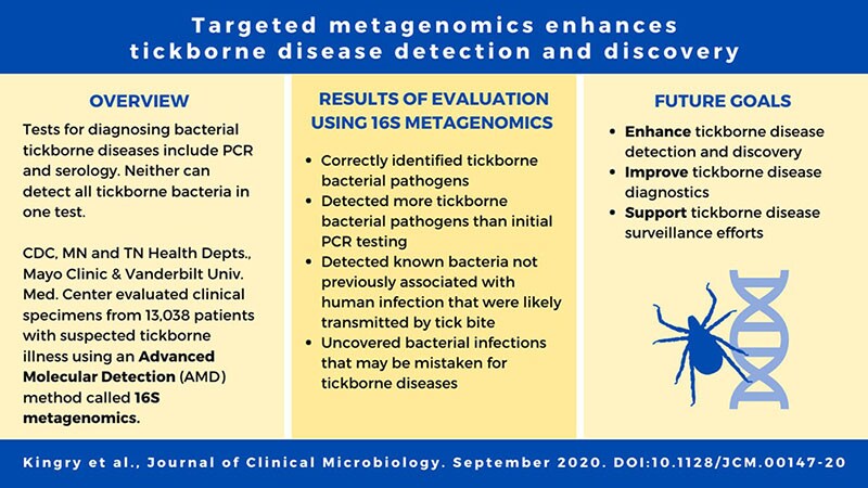 Targeted metagenomics enhances tickborne disease detection and discovery