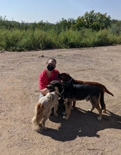 woman kneeling playing with 3 dogs