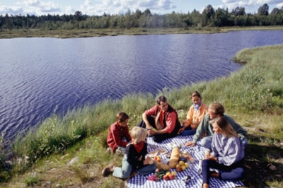 Personas en un pícnic junto a una laguna