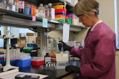 Image link What We Do - Image shows Jane Basile working in a lab to prepare reagents used in Zika testing in Ft. Collins, CO.
