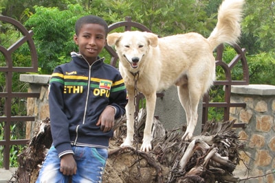 Link to What We Do - Image a young boy standing on and leaning against a big hunk of dirt and roots. A chained white dog stands on top of the rootball looking relaxed next to the boy.