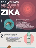 thumbnail image of PDF: Top 5 Things Everyone Needs to Know About Zika