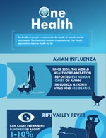 thumbnail image of the one health infographic