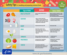 thumbnail image of the Handing Food Safety Tips infographics